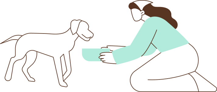 Sobre o Meu Cantinho Pet - Espaço de cuidados para pets em Moema